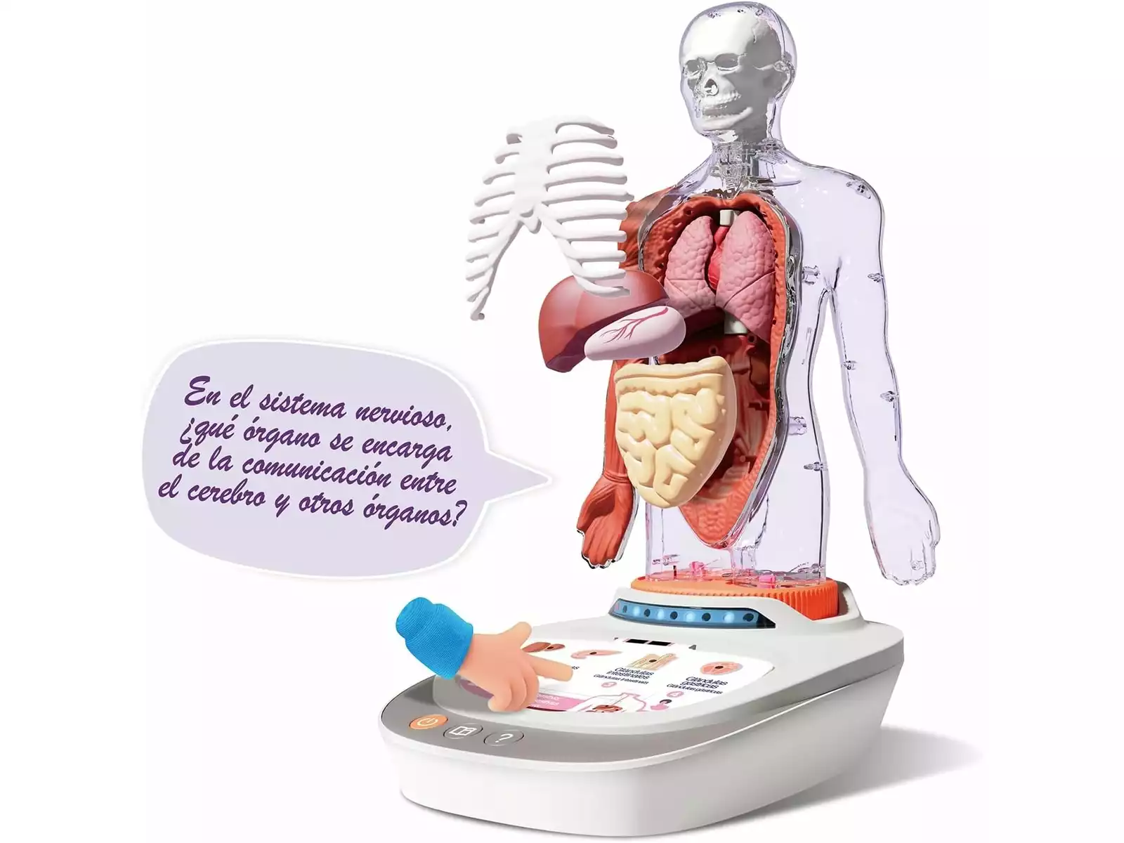 Imagem do produto 3555801482052_5