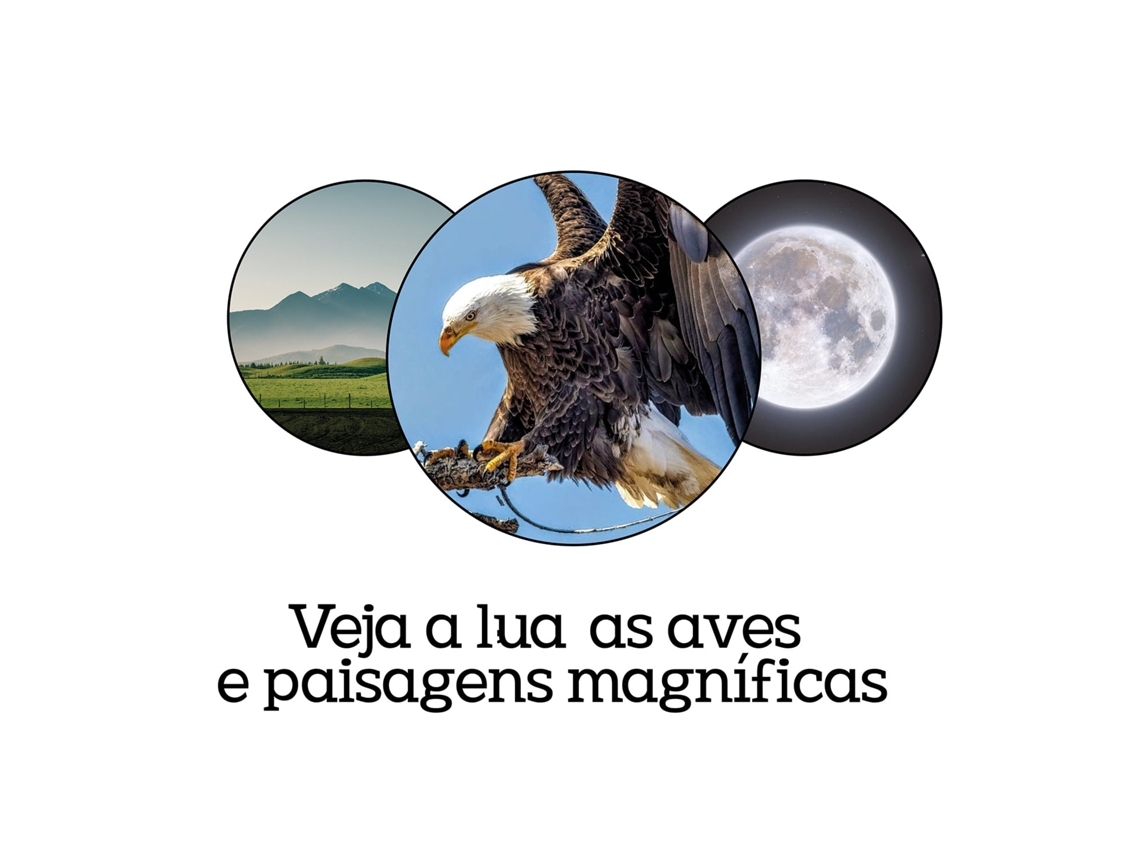 Imagem do produto 3555801482083_4