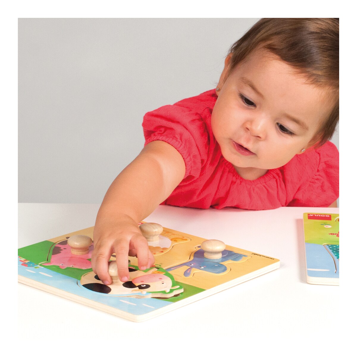 Imagem do produto 530696_3